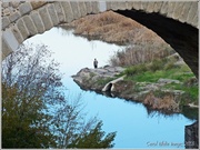 12th Feb 2013 - Fishing On The River Tajo,Toledo,Spain.