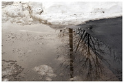 12th Feb 2013 - Reflections of Winter