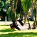 Panning cockatoos by bella_ss