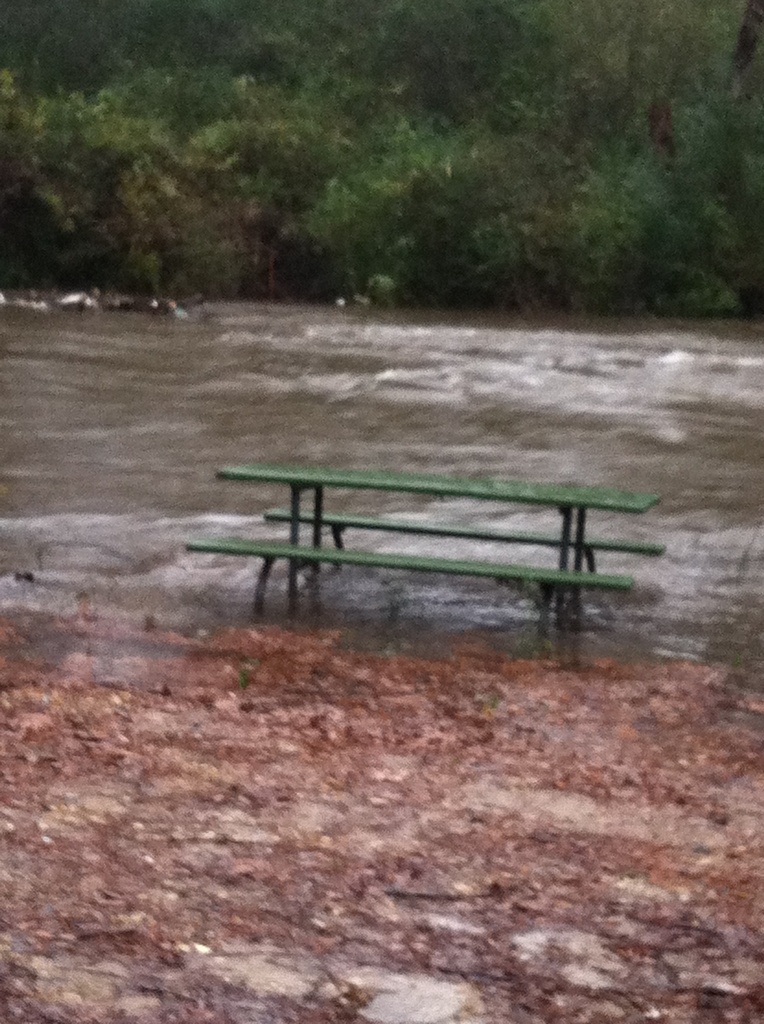 High water at the creek by prn