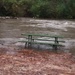 High water at the creek by prn