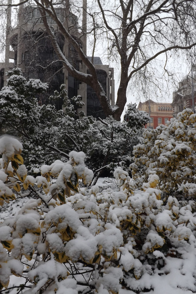 London Snow by emma1231
