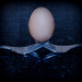 Egg by salza