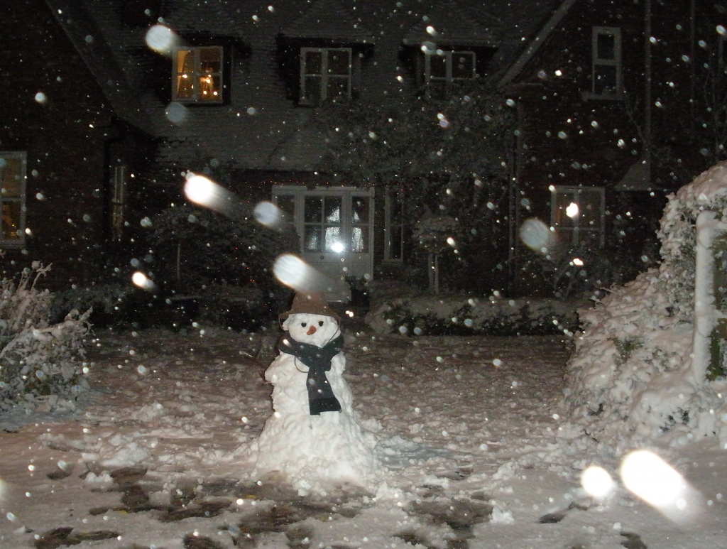 Confessions of A Late Night Snowman by helenmoss