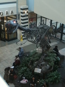 12th Feb 2013 - T-Rex on a Shopping Spree?