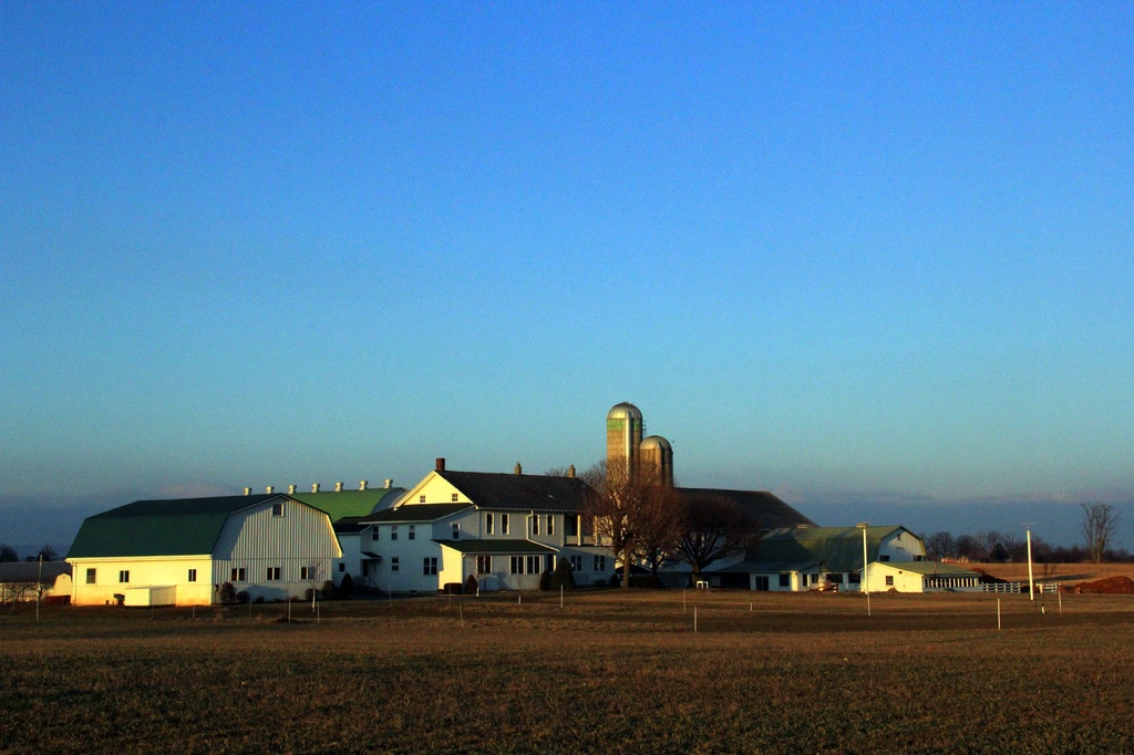 Family Farm by digitalrn