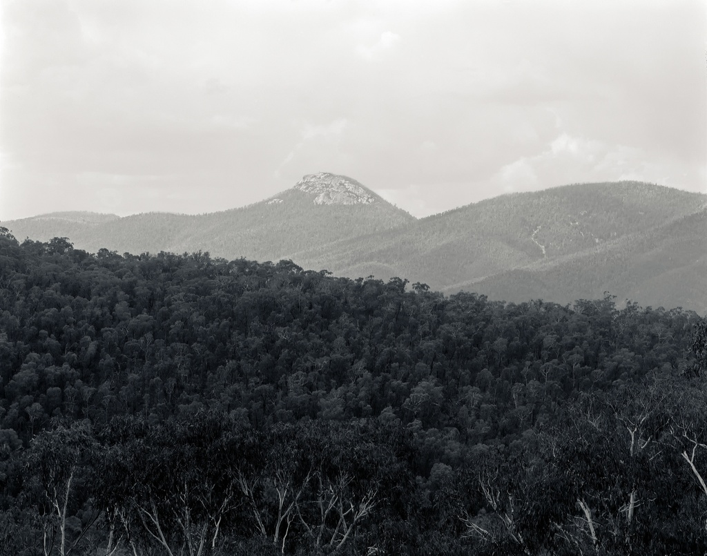 Mt Coree by peterdegraaff