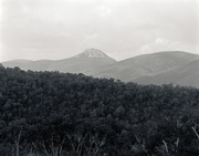 13th Feb 2013 - Mt Coree