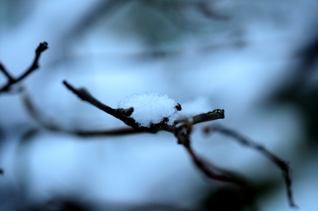 Go Away Winter. by naomi
