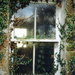 ivy house window by ingrid2101