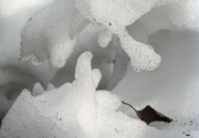 13th Feb 2013 - Ice Sculpture