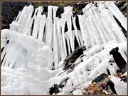 13th Feb 2013 - Icicles 1