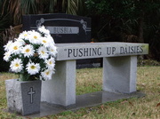 13th Feb 2013 - Pushing Up Daisies