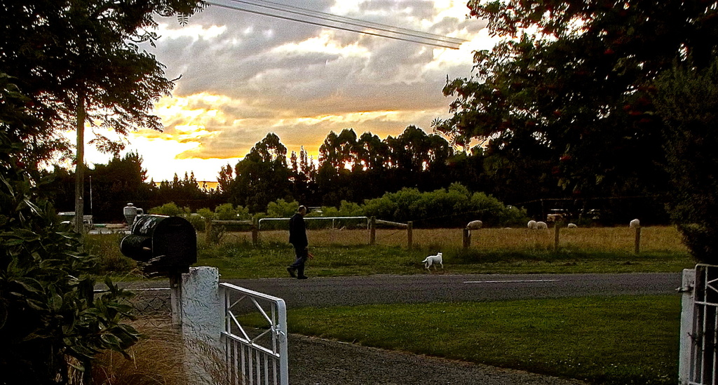 Evening dog walk by maggiemae