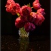 Flowers by tonygig
