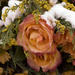 Frozen Flowers by tracybeautychick