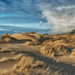 Dune Grass by jgpittenger