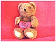 15th Feb 2013 - Valentine Bear