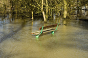 15th Feb 2013 - Flooded