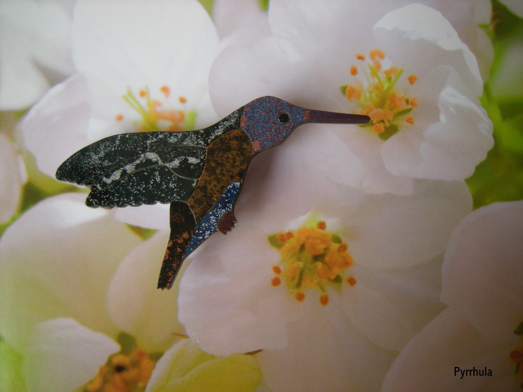 An new hummingbird by pyrrhula