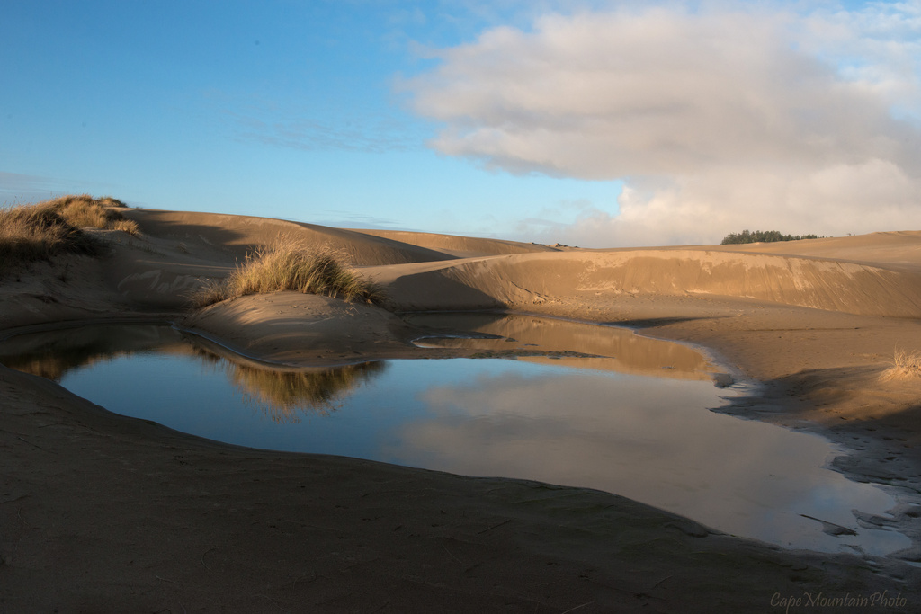 Dune Reflections by jgpittenger