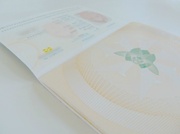 16th Feb 2013 - Passport