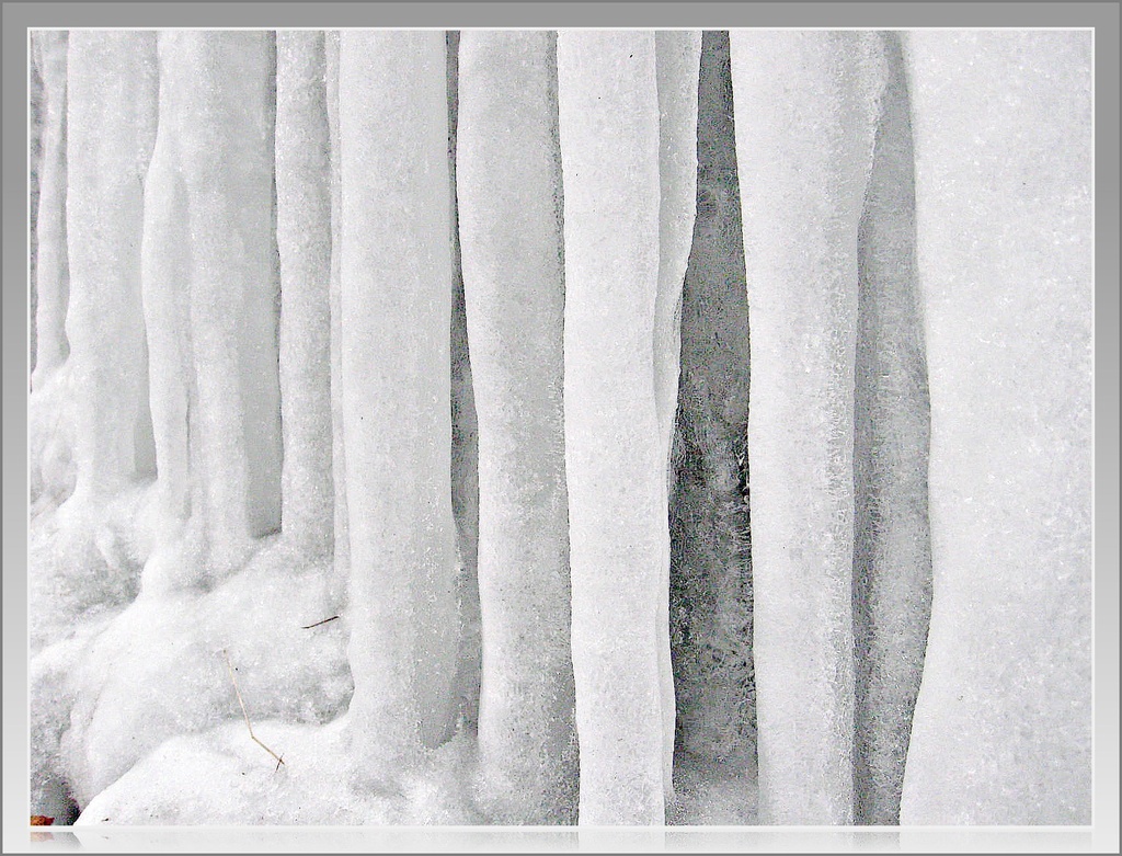 Icicles 2 by olivetreeann