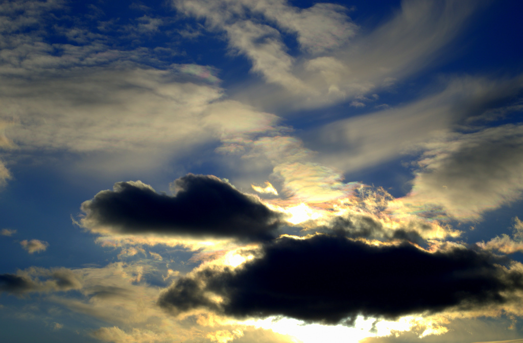 cloud menagerie by vankrey