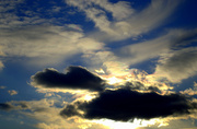 15th Feb 2013 - cloud menagerie