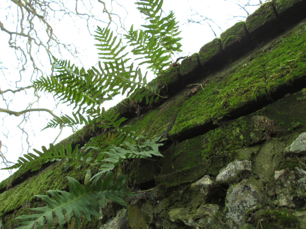 brick and flint'stone' wall by quietpurplehaze