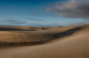 16th Feb 2013 - Dunes in Golden Light