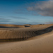 Dunes in Golden Light by jgpittenger