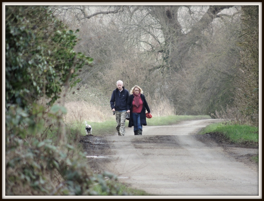A walk down Wood Lane by rosiekind