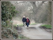 16th Feb 2013 - A walk down Wood Lane