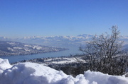 10th Feb 2013 - The top of Uetliberg