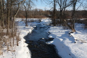 15th Feb 2013 - Quiet Winter Stream