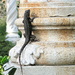 Lizard on a Column (catchy title, eh?) by pasadenarose