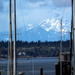 Olympic Mountains from Olympia by jankoos