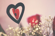 14th Feb 2013 - Happy Valentines day :)