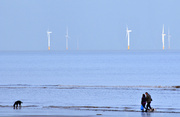 17th Feb 2013 - Coastal Wind Farm ~ 3