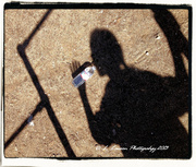 15th Feb 2013 - Thirsty Shadow