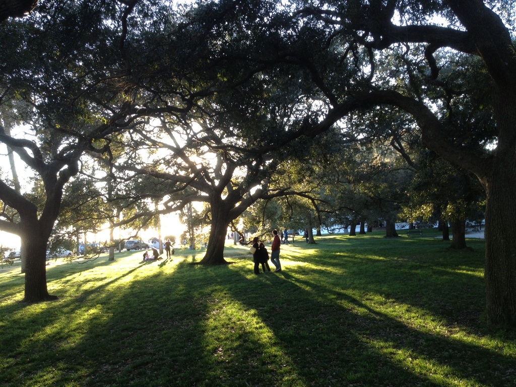 Late afternoon shadows, White Point Gardens, Charleston, SC by congaree