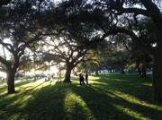 17th Feb 2013 - Late afternoon shadows, White Point Gardens, Charleston, SC