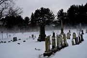 17th Feb 2013 - Wind Whistling Past the Graveyard