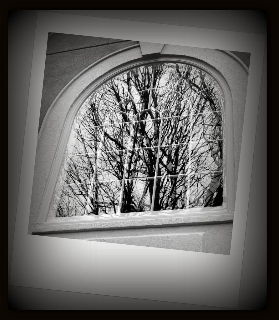 ETSOOI Window Reflections by tara11