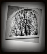 15th Feb 2013 - ETSOOI Window Reflections