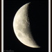 Crescent moon by kiwiflora