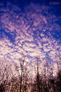 18th Feb 2013 - Clouds 