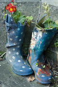 18th Feb 2013 - flowery footwear
