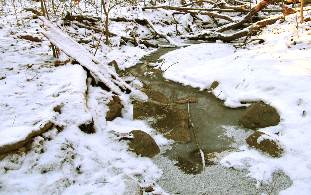 Almost Frozen Stream  by houser934